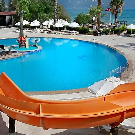 The Didim